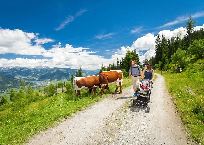 Hotel apartamentowy Apartmenthaus Gotthardt